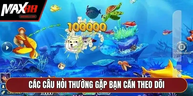 Các câu hỏi thường gặp bạn cần theo dõi