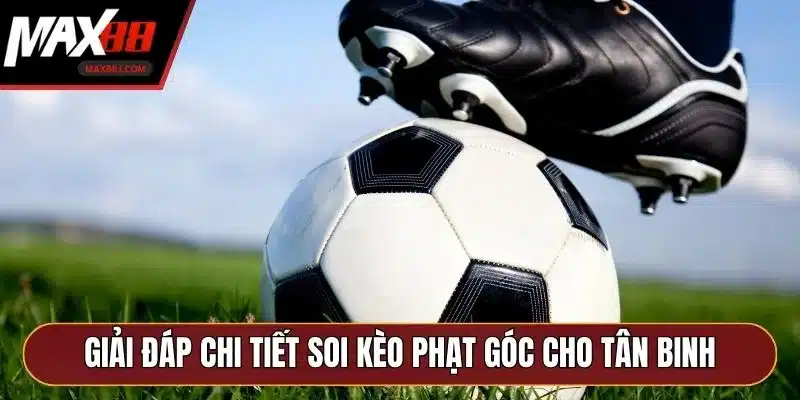 Giải đáp chi tiết soi kèo phạt góc cho tân binh Giải đáp chi tiết soi kèo phạt góc cho tân binh